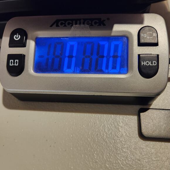 Beachlunchlounge Coral Birds Alanna Long Sleeve Button Up Blouse Size Medium - Picture 8 of 9